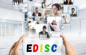 DISC Profiling-EDISC-beahvioural profiling-adelaide